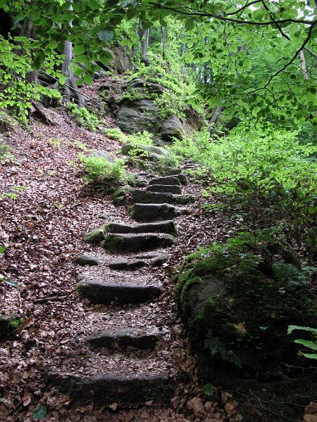 2010-06-12, Uttewalder Grund (22).jpg